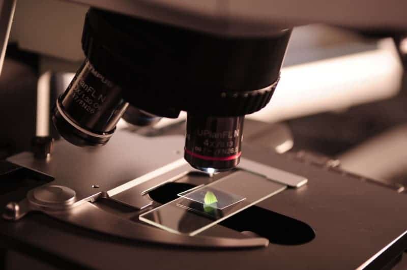 Microscope investigating new data